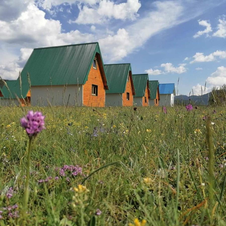 Vule Bungalovi Žabljak Kültér fotó
