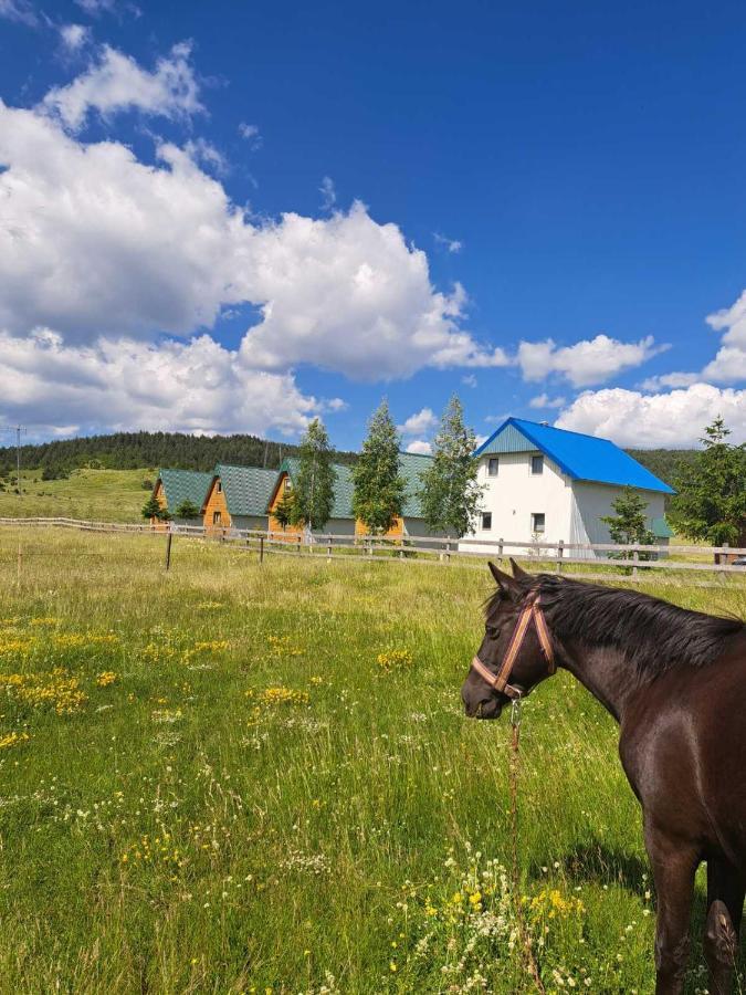 Vule Bungalovi Žabljak Kültér fotó
