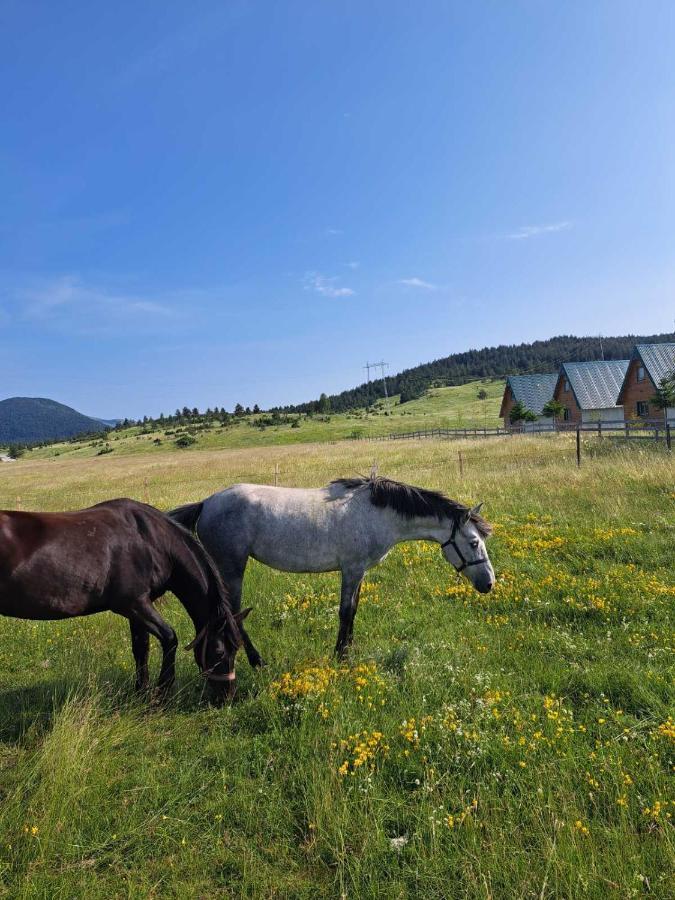 Vule Bungalovi Žabljak Kültér fotó